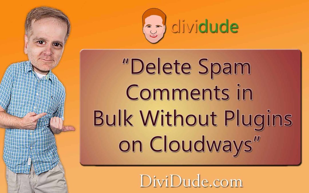 Delete Spam Comments in Bulk Without Plugin on Cloudways